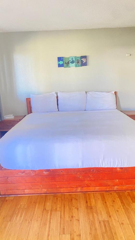 One-Bedroom King Suite interior